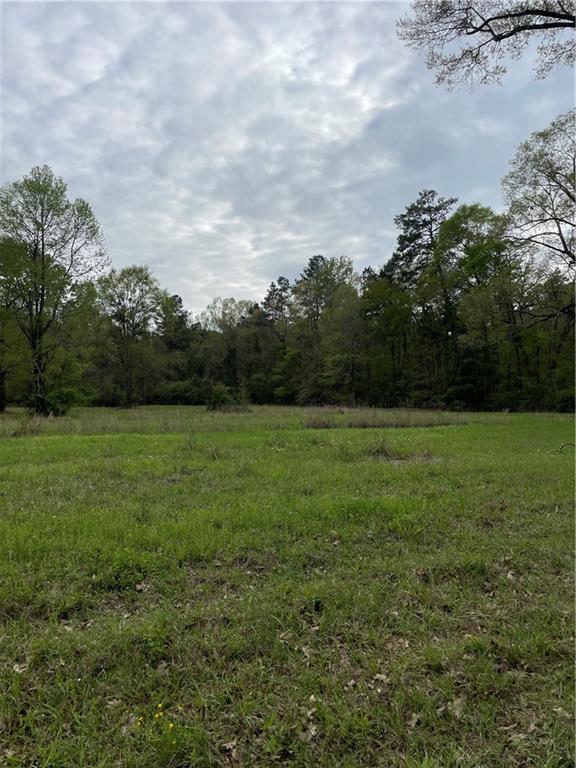 D Smetak Road Deville, LA 71328 - Photo 2 of 4