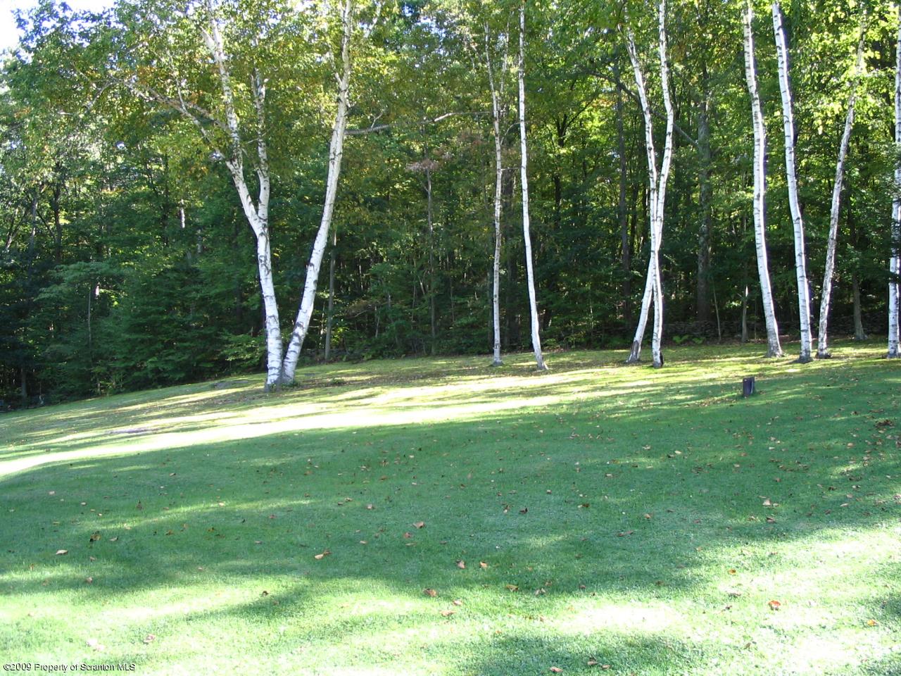 0 Whites Ferry Rd Lake Factoryville, PA 18419 - Photo 21 of 21 Gallery Image 21