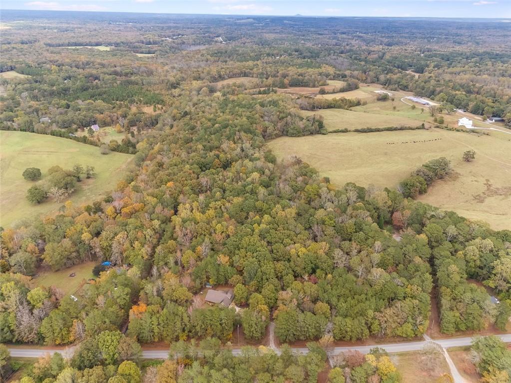 183 Muse Bridge Road Carrollton, GA 30116 - Photo 34 of 39