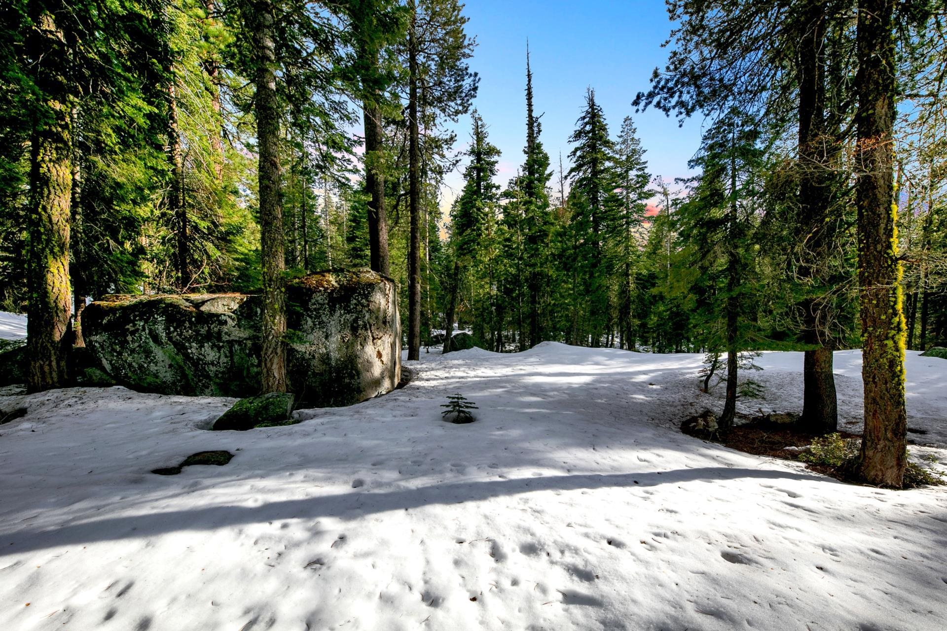 15501 Conifer Drive Truckee, CA 96161 - Photo 28 of 28 a view of path and trees