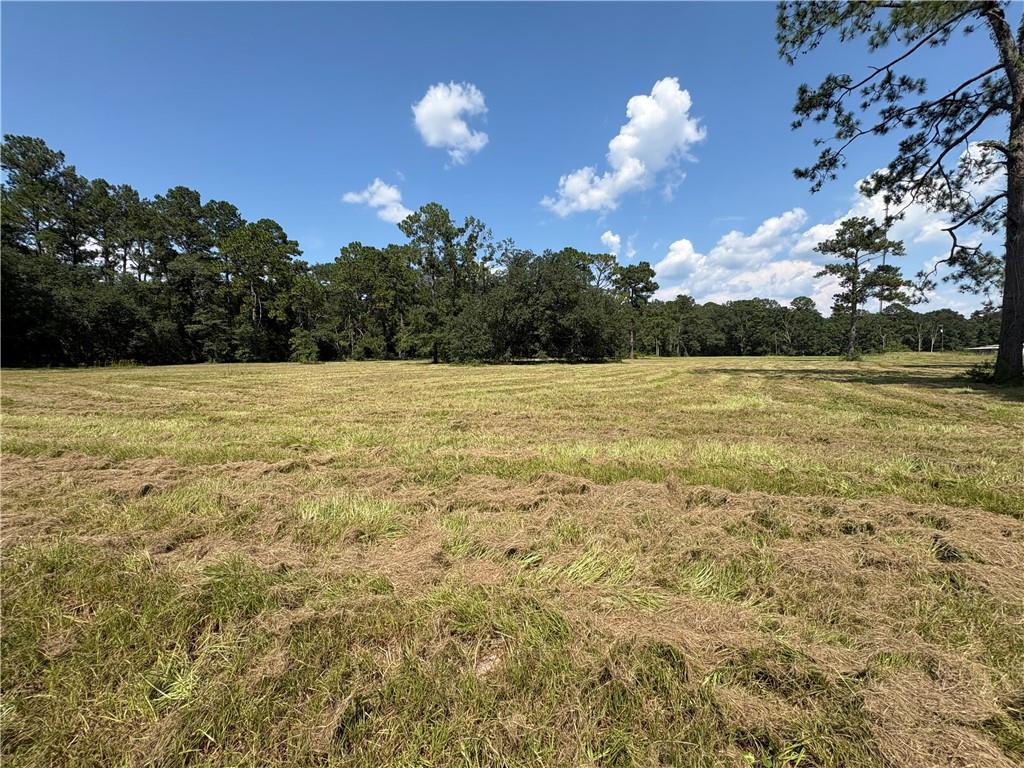 Lot A2-72130 Lot A2-72130 Joseph Road Covington, LA 70433 - Photo 2 of 7