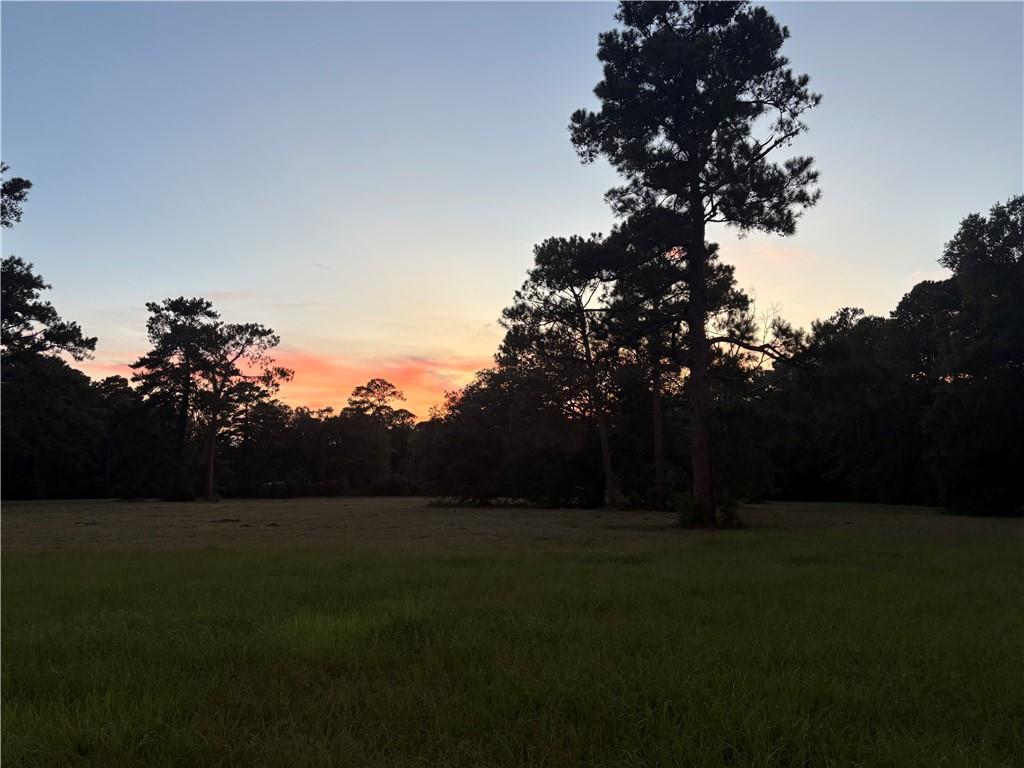 Lot A2-72130 Lot A2-72130 Joseph Road Covington, LA 70433 - Photo 3 of 7