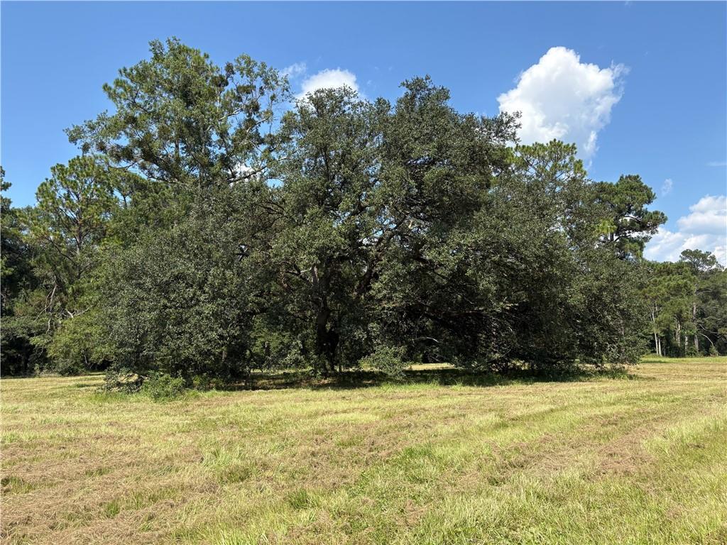 Lot A2-72130 Lot A2-72130 Joseph Road Covington, LA 70433 - Photo 5 of 7