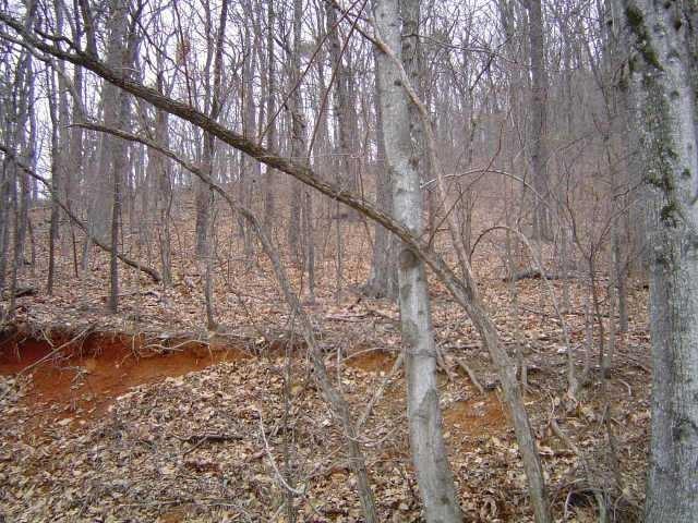 4567 Denny Rdg Rd  