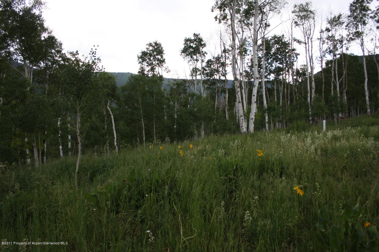 227 Hawk Lane Basalt, CO 81621 - Photo 11 of 24 View