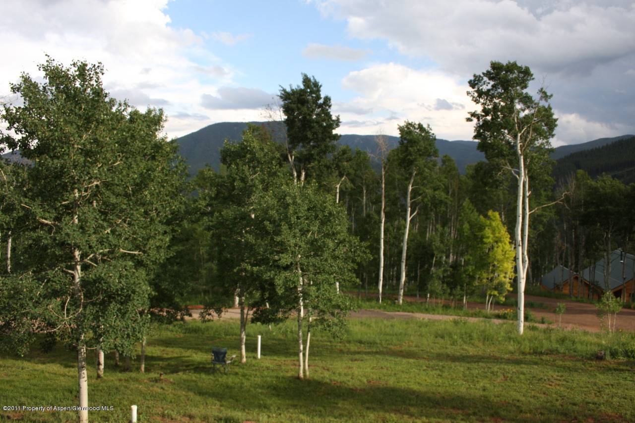 227 Hawk Lane Basalt, CO 81621 - Photo 14 of 24 View