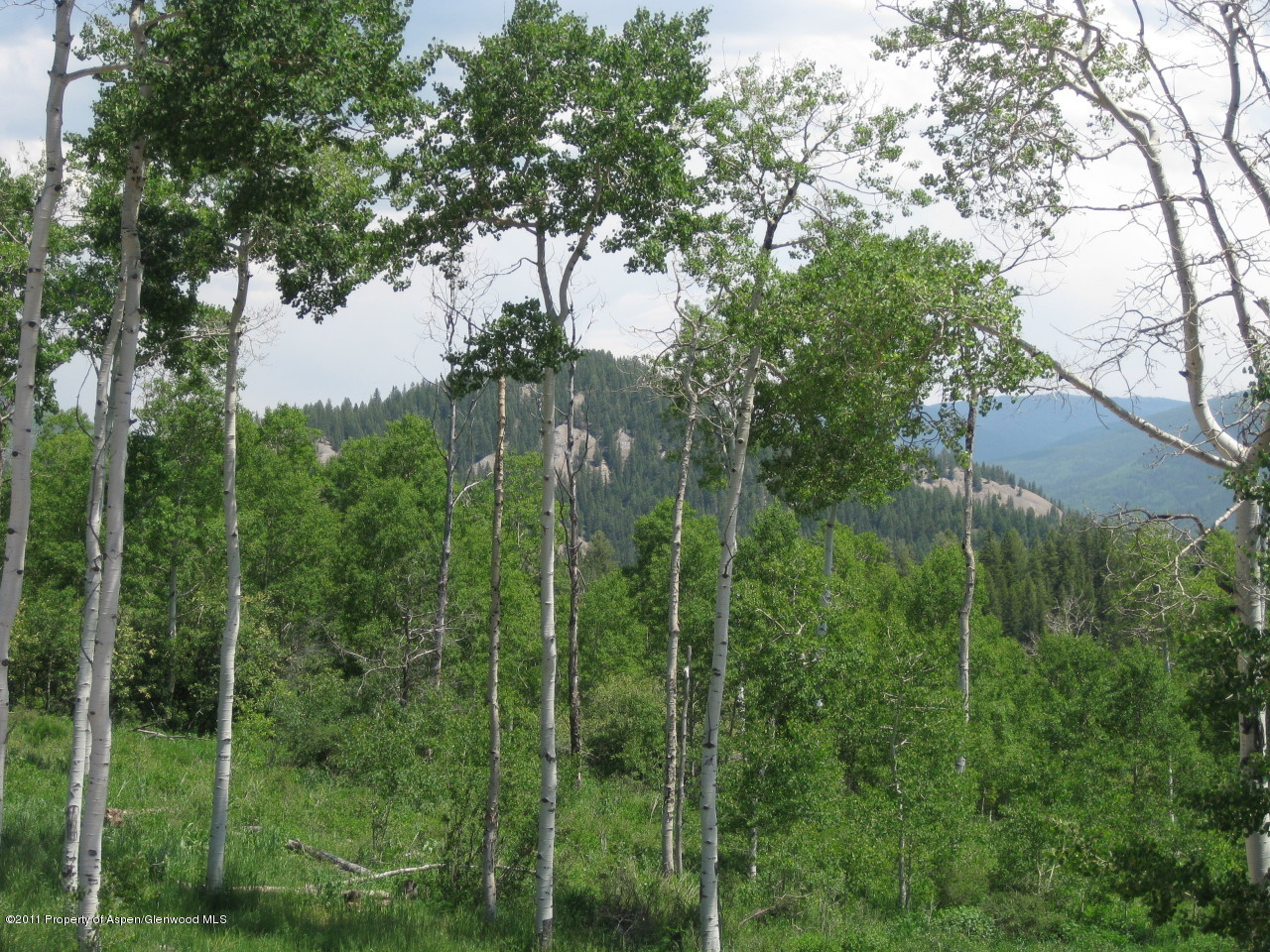 227 Hawk Lane Basalt, CO 81621 - Photo 2 of 24 View