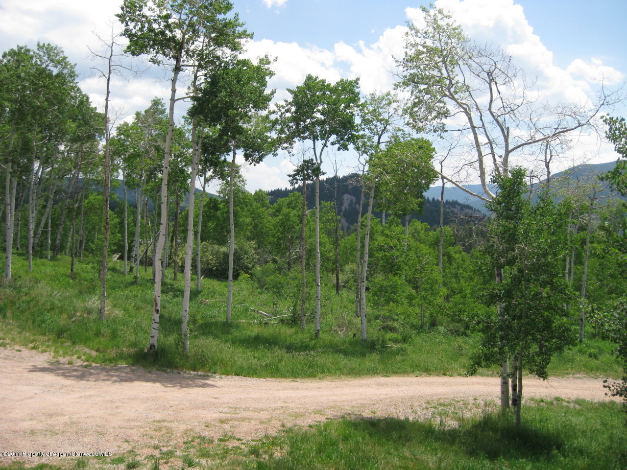 227 Hawk Lane Basalt, CO 81621 - Photo 3 of 24 View