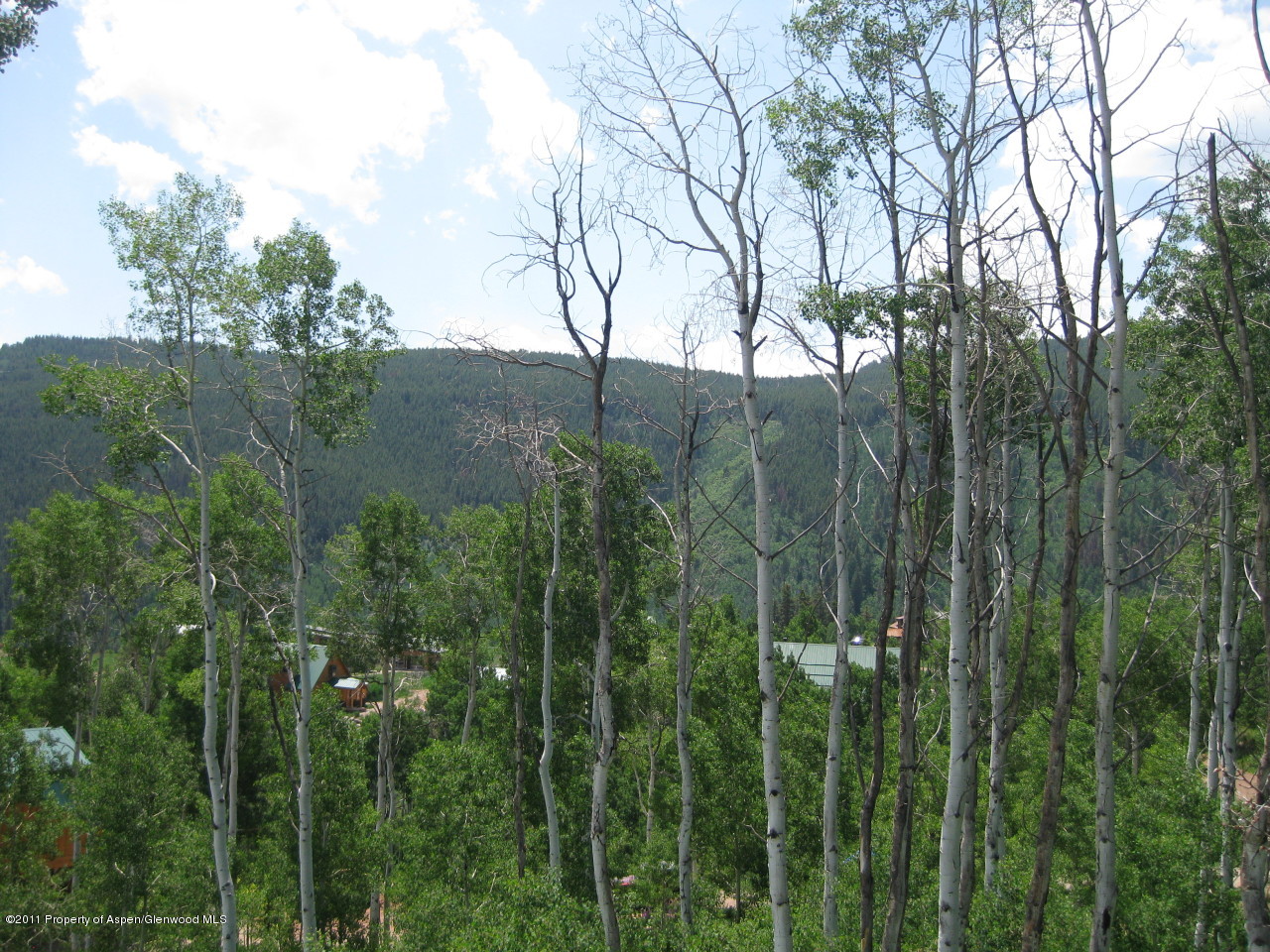 227 Hawk Lane Basalt, CO 81621 - Photo 4 of 24 View