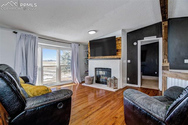 5705 Whipshaw Road Peyton, CO 80831 - Photo 7 of 34 Living Room