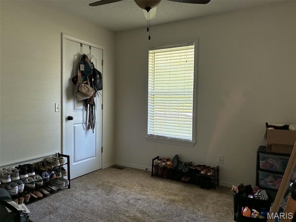 1000 Susan Street Dexter, MO 63841 - Photo 12 of 16