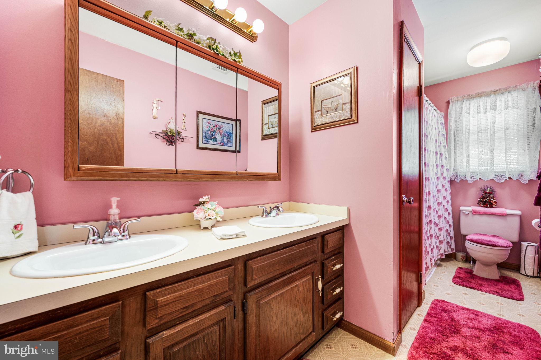 1548 County Line Road Bechtelsville, PA 19505 - Photo 12 of 31 a bathroom with a sink double vanity and a toilet