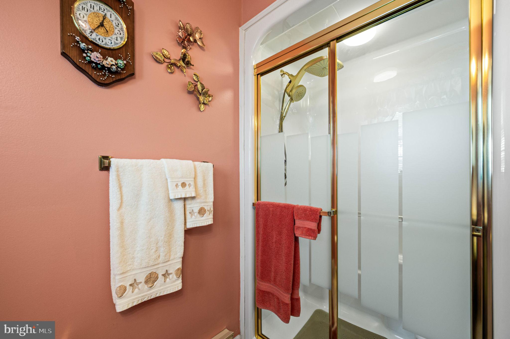 1548 County Line Road Bechtelsville, PA 19505 - Photo 21 of 31 a bathroom with a shower and a mirror