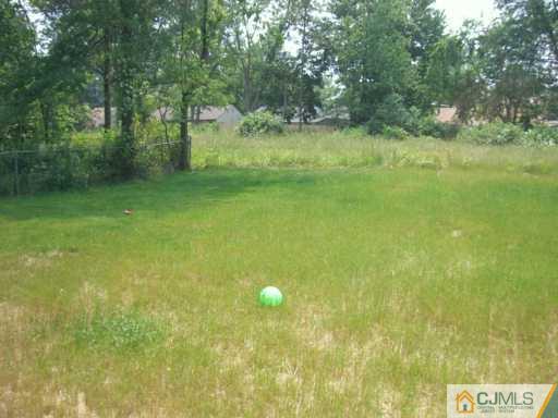 16 Dayton Road Edison, NJ 08817 - Photo 8 of 8 a view of a big yard with a tree