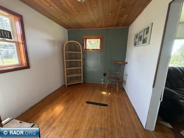 357 West Harvey Street Ely, MN 55731 - Photo 9 of 23