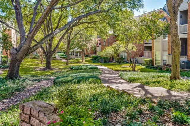 a view of a park with large trees