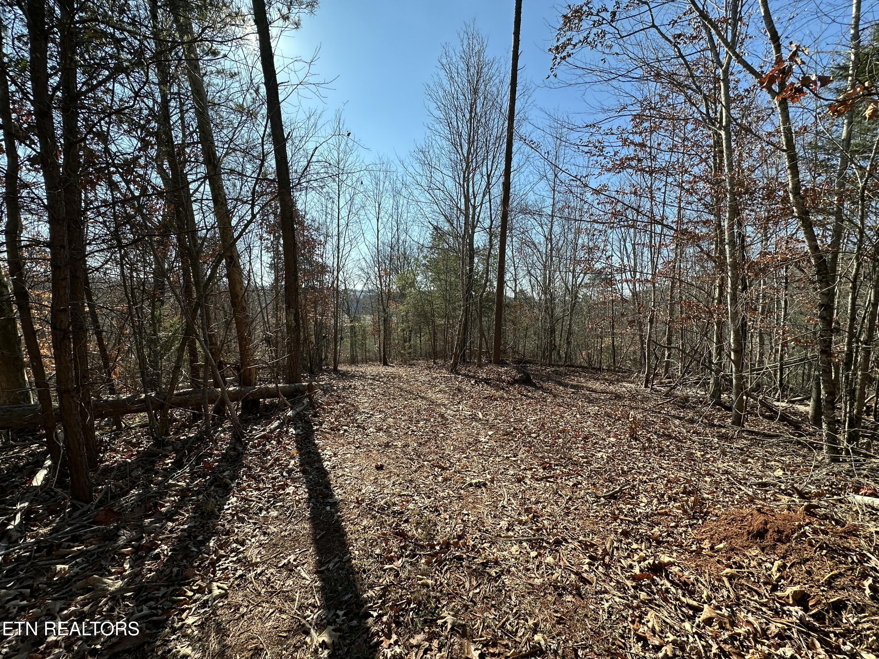 150 Sheppard Road Sweetwater, TN 37874 - Photo 11 of 27 IMG_6521