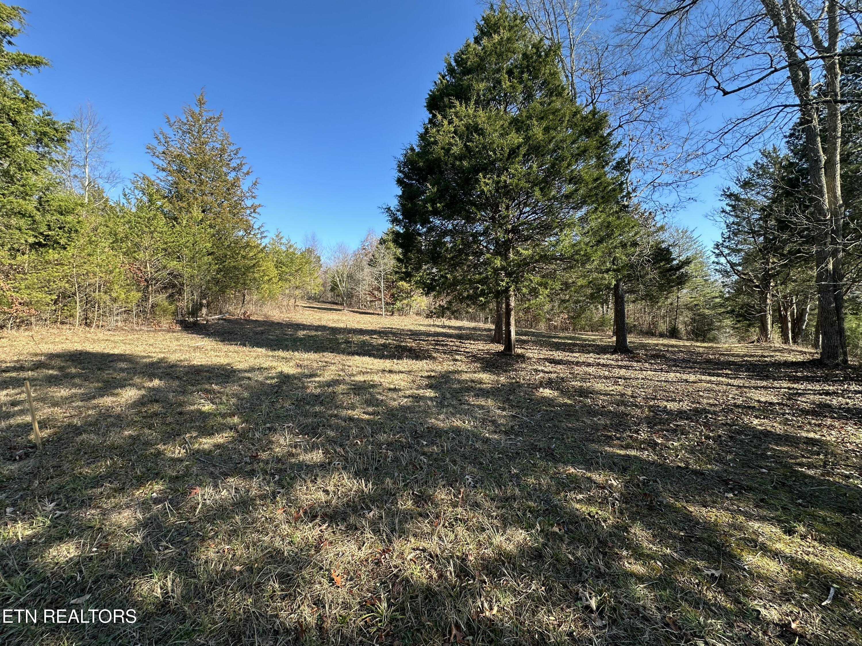 150 Sheppard Road Sweetwater, TN 37874 - Photo 15 of 27 IMG_6498