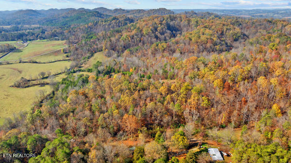 150 Sheppard Road Sweetwater, TN 37874 - Photo 23 of 27 2