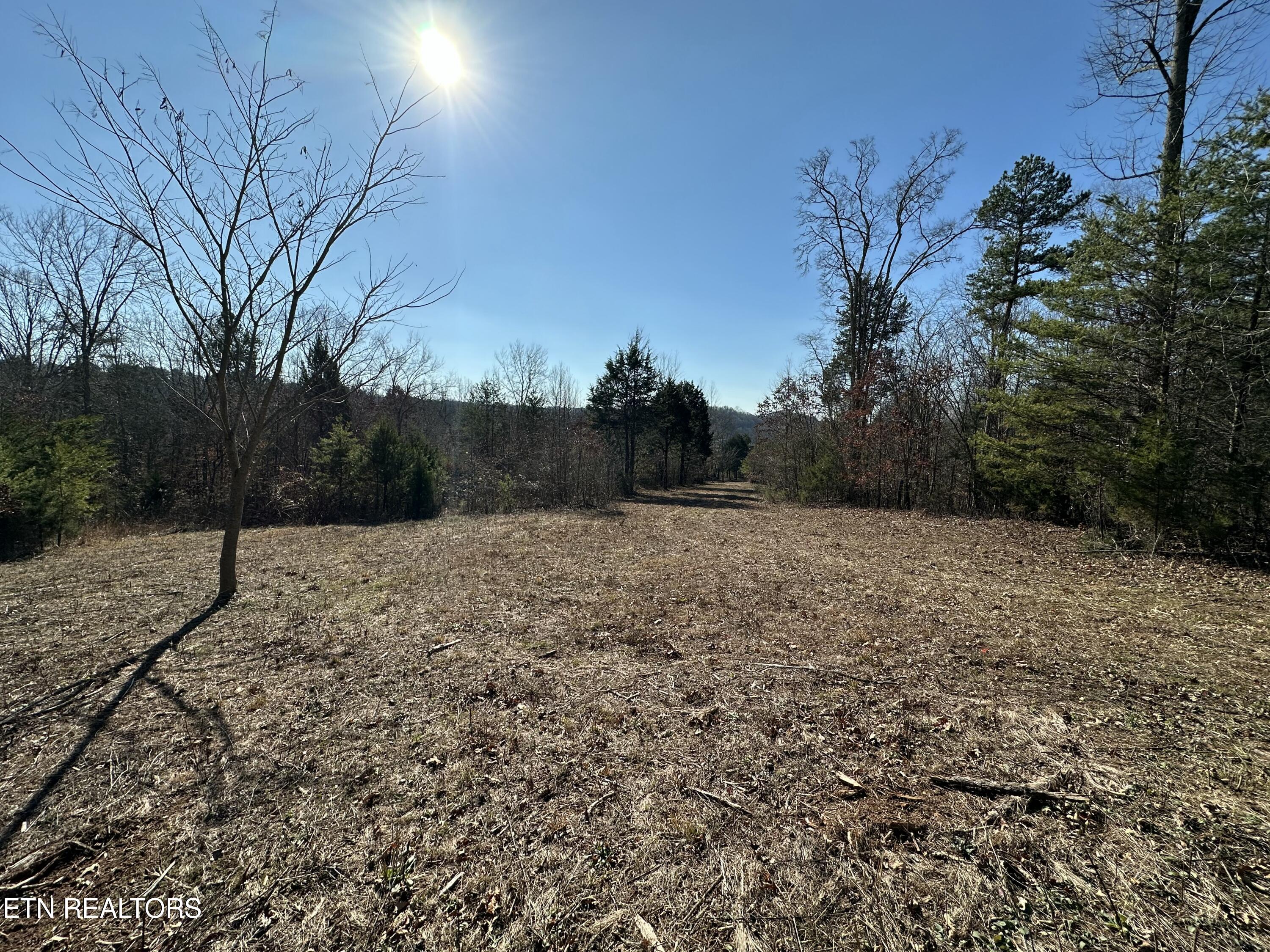 150 Sheppard Road Sweetwater, TN 37874 - Photo 3 of 27 IMG_6530 2