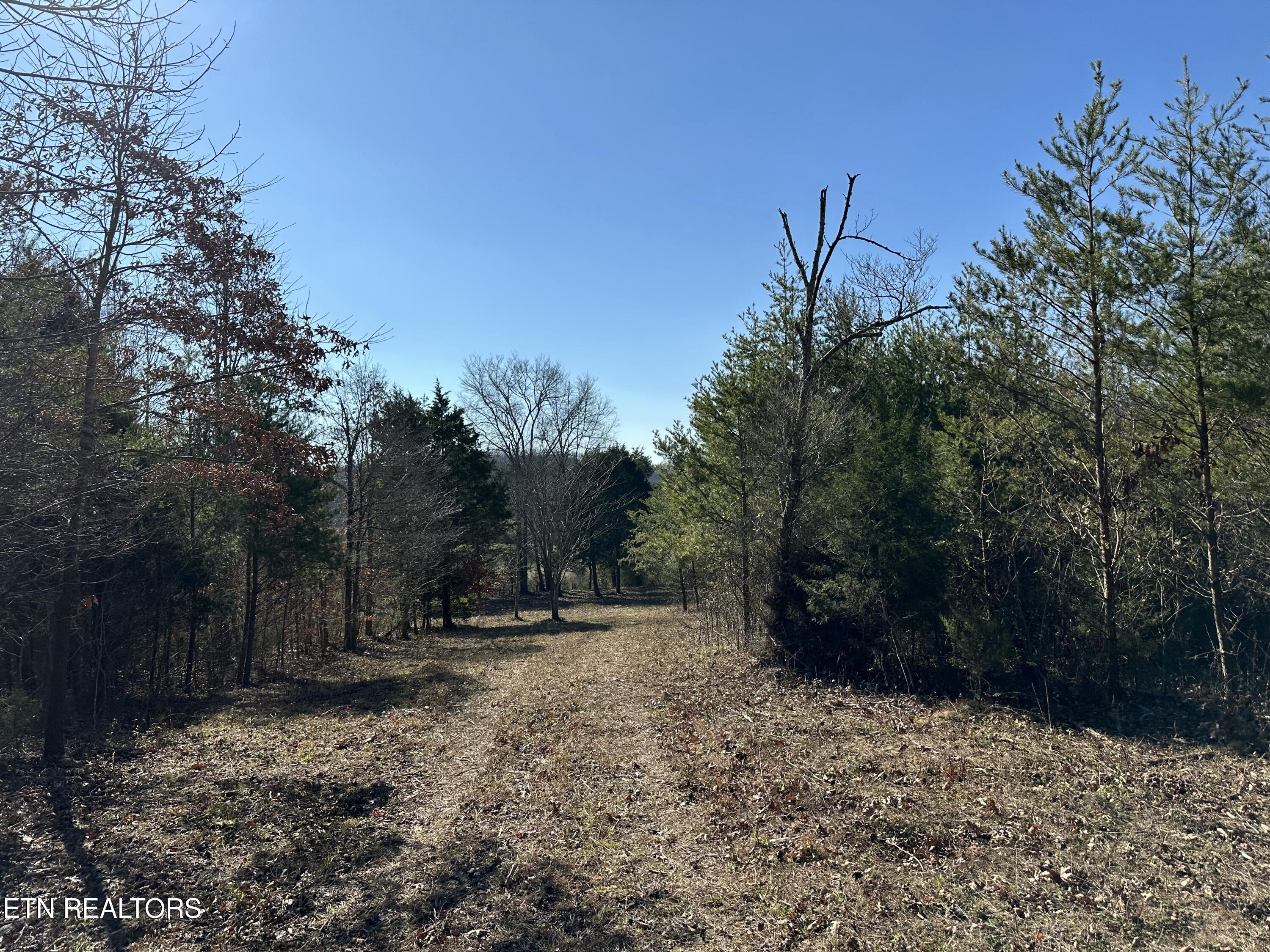 150 Sheppard Road Sweetwater, TN 37874 - Photo 4 of 27 IMG_6539