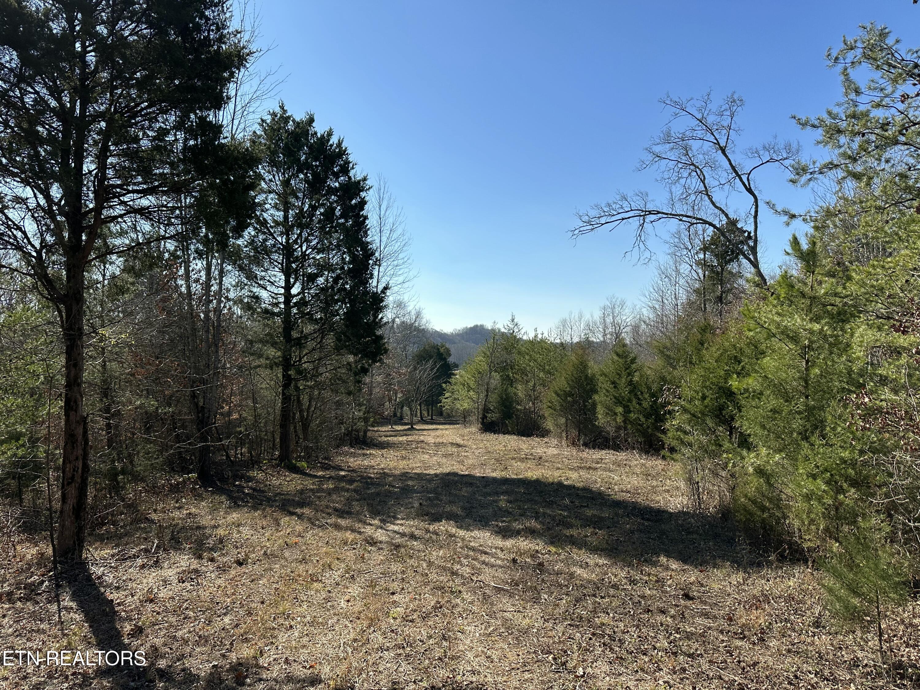 150 Sheppard Road Sweetwater, TN 37874 - Photo 5 of 27 IMG_6531 2