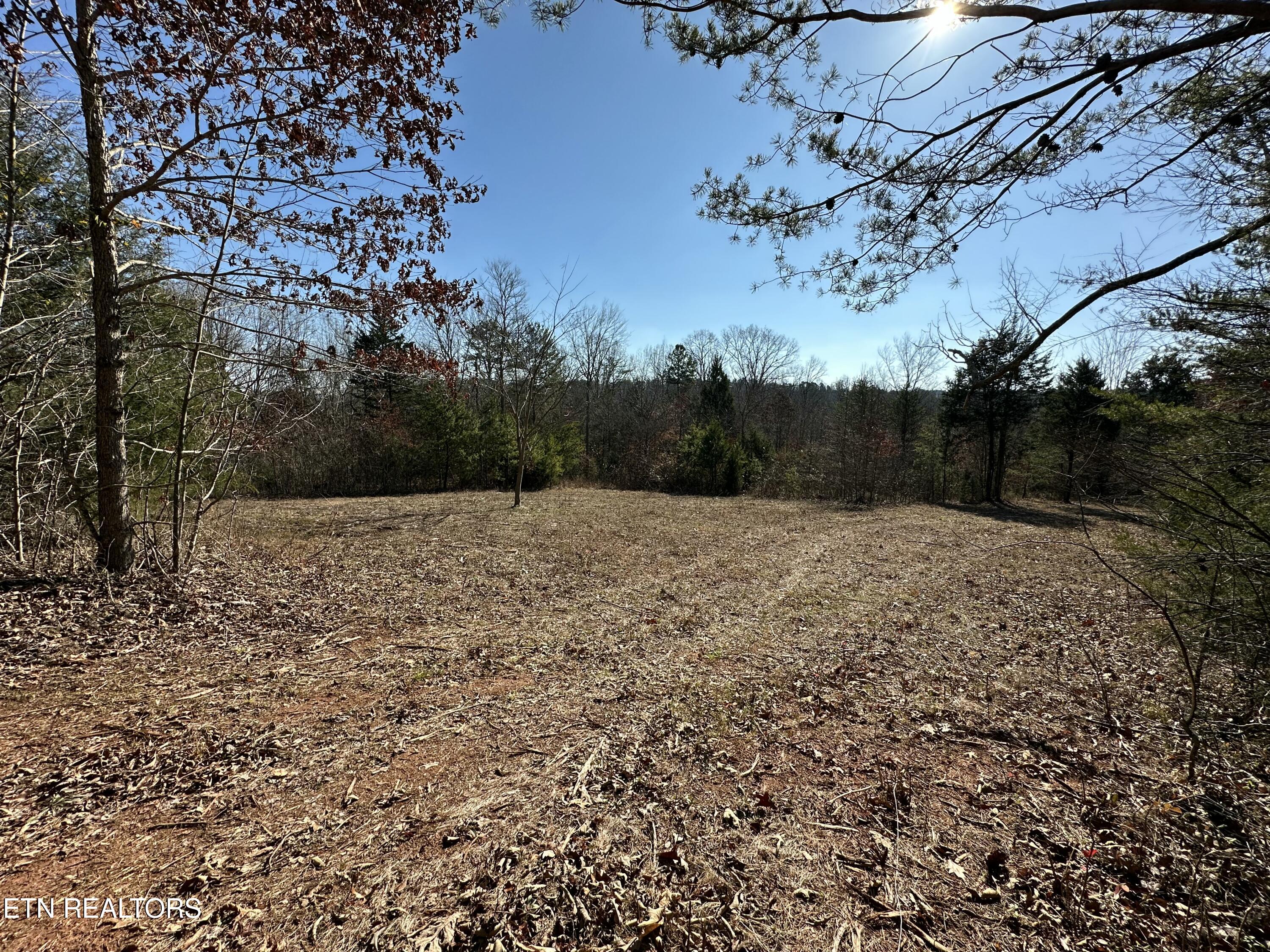 150 Sheppard Road Sweetwater, TN 37874 - Photo 7 of 27 IMG_6529