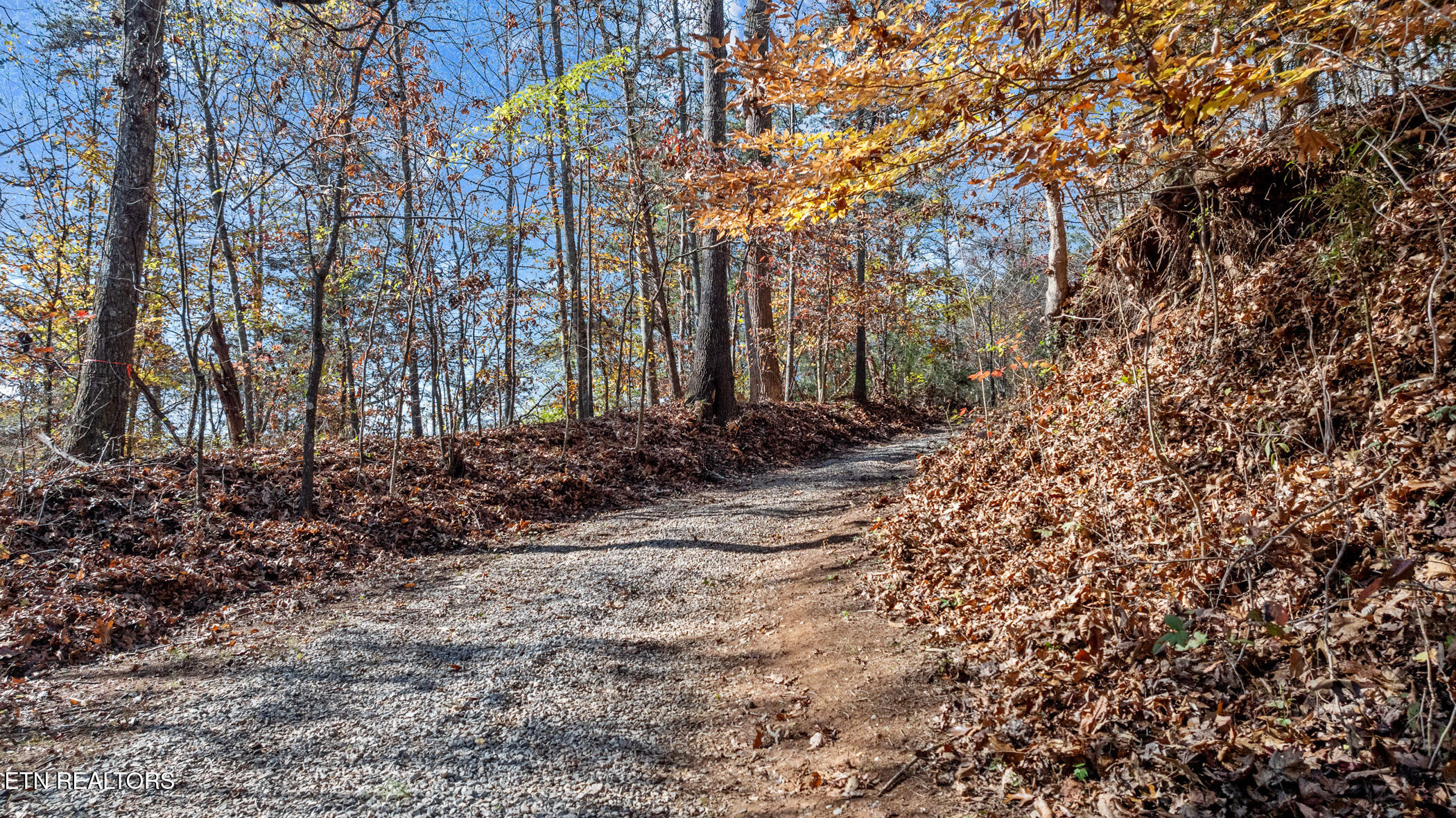 150 Sheppard Road Sweetwater, TN 37874 - Photo 8 of 27 12
