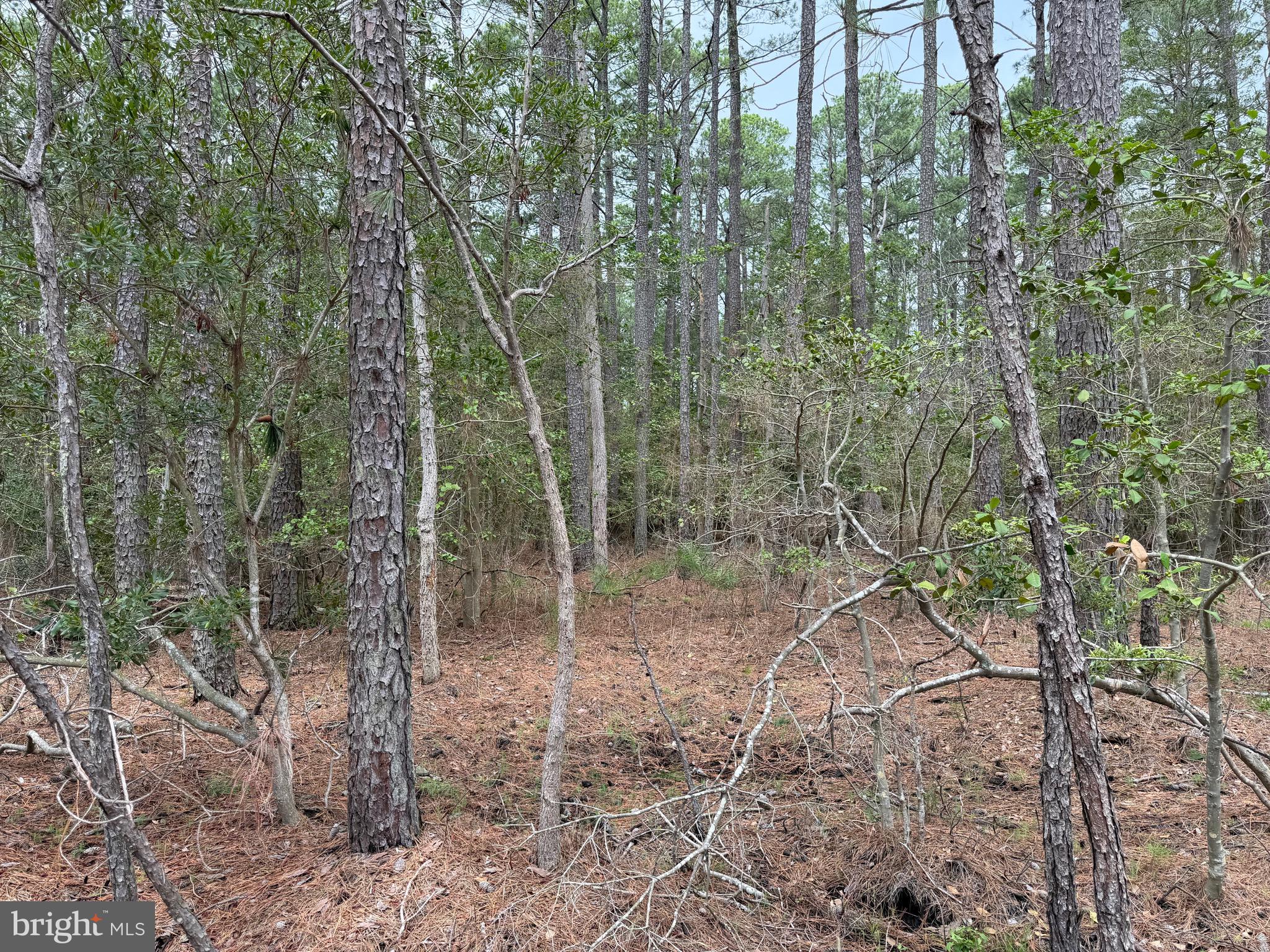 0 Hooper Neck Road Madison, MD 21648 - Photo 58 of 129