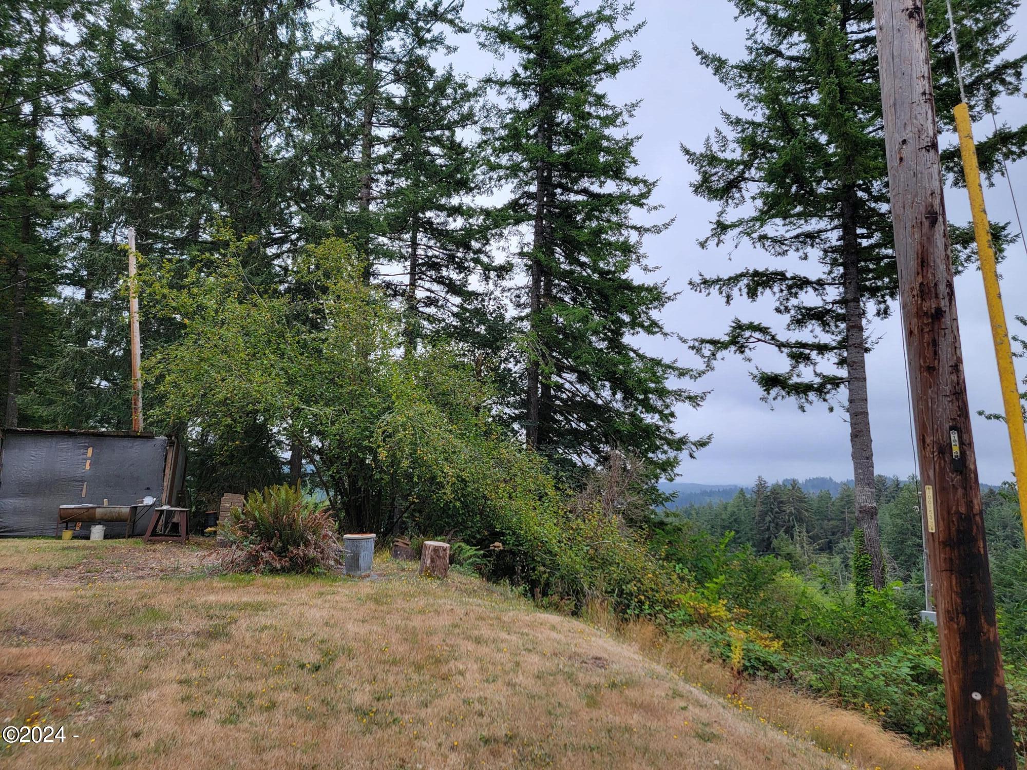 1641 B Criteser Loop Toledo, OR 97391 - Photo 2 of 3 20240902_112553 (1)