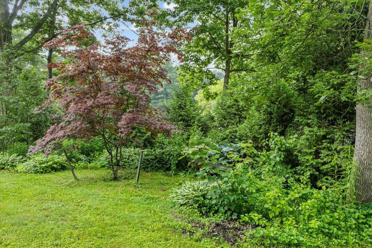 32 Tracy Lane Shelburne, VT 05482 - Photo 48 of 50