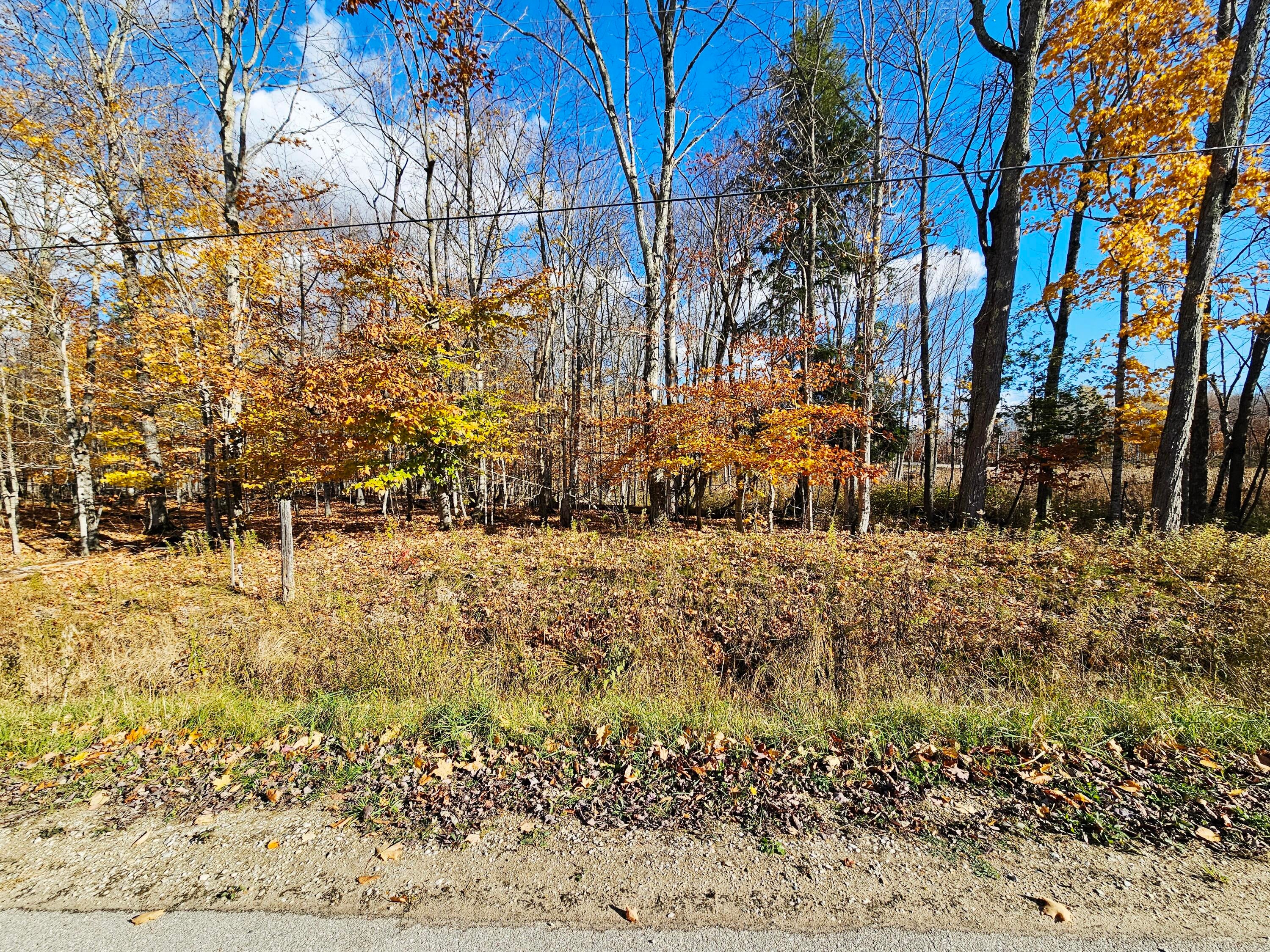 Parcel A Parcel A North Road Curtis, MI 49820 - Photo 1 of 10 Gallery Image 1