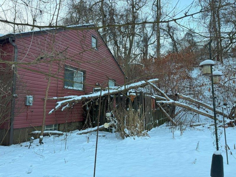 42 Forest Road Ambridge, PA 15003 - Photo 3 of 15