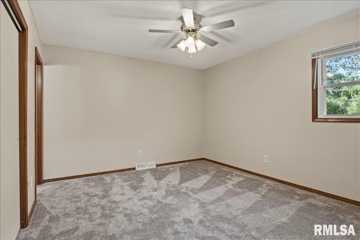 321 Park Street Rochester, IL 62563 - Photo 17 of 35