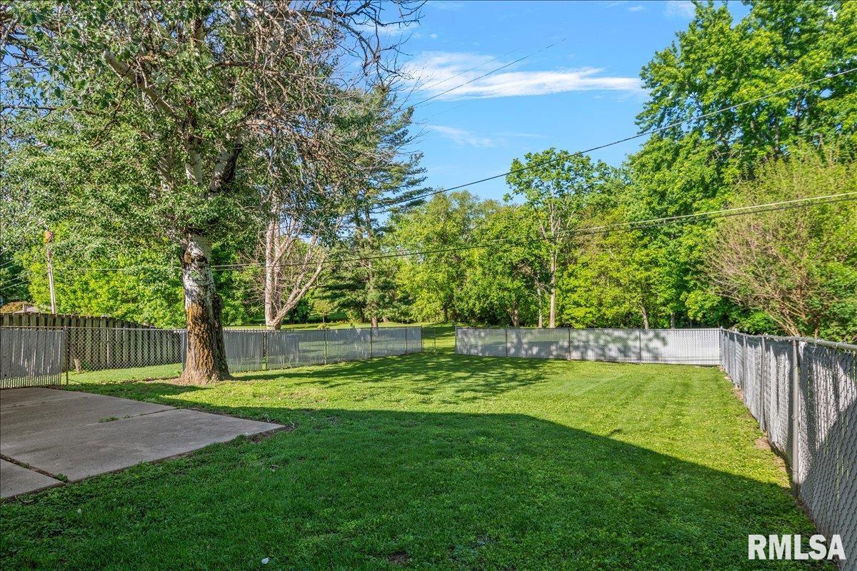 321 Park Street Rochester, IL 62563 - Photo 26 of 35