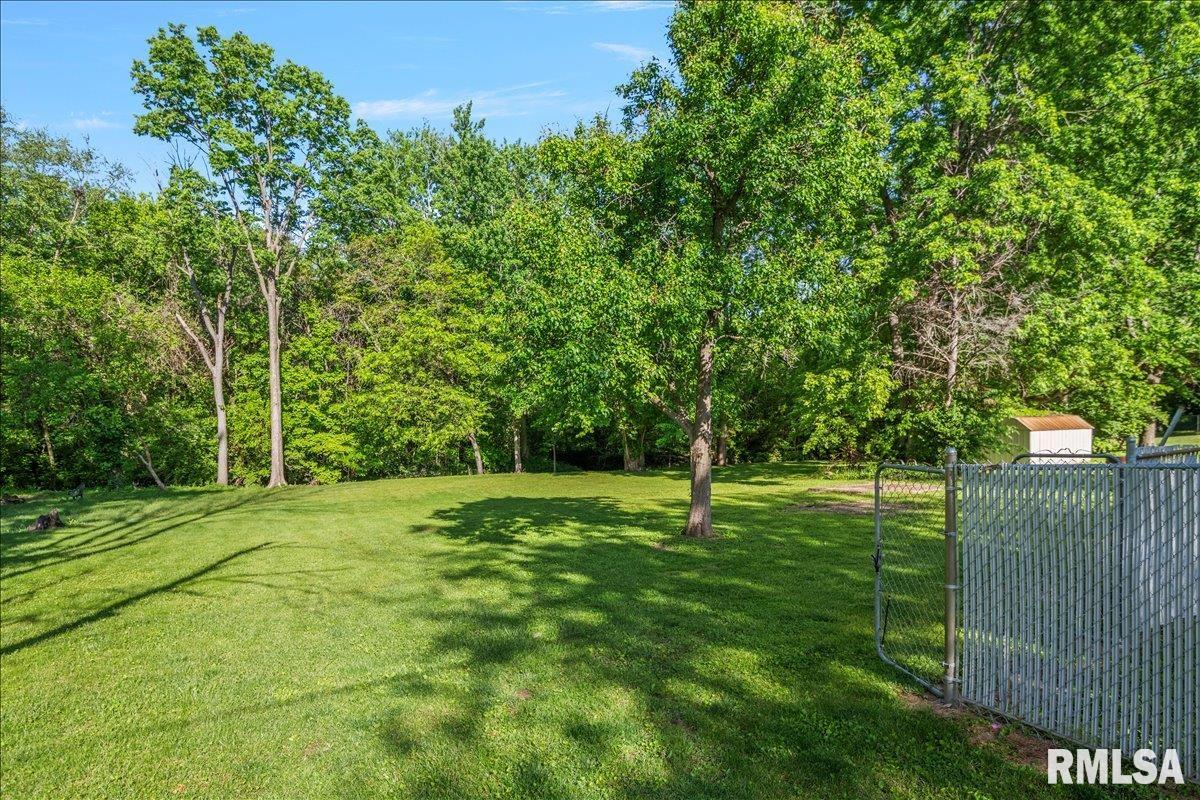 321 Park Street Rochester, IL 62563 - Photo 29 of 35