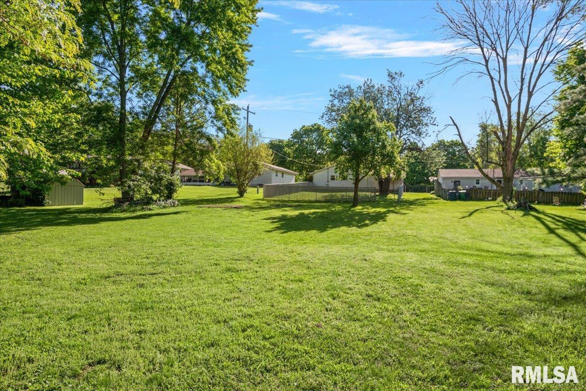 321 Park Street Rochester, IL 62563 - Photo 31 of 35