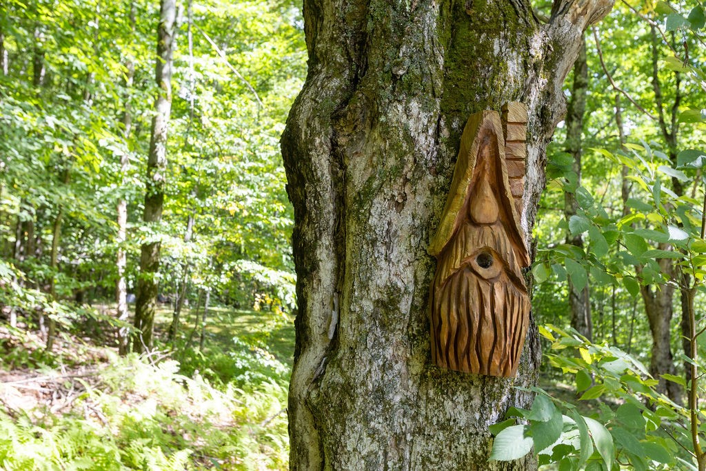 669 Maggie Hoag Road Delhi, NY 13752 - Photo 21 of 50 Gallery Image 21