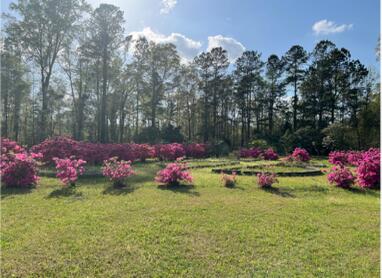 0 Wire Road Reevesville, SC 29471 - Photo 7 of 14