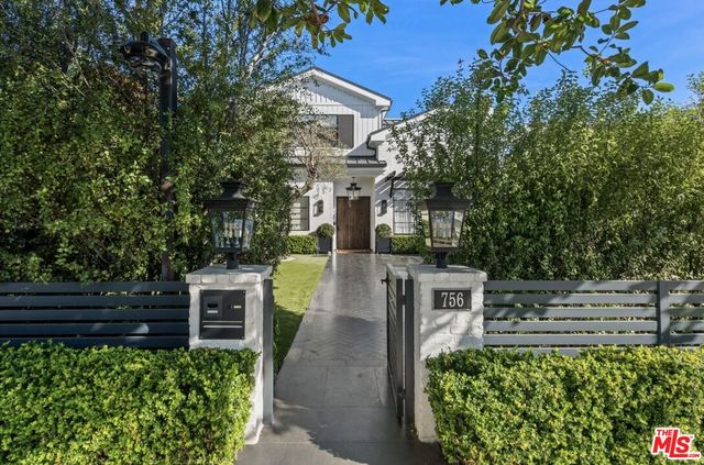 a view of a garden with plants