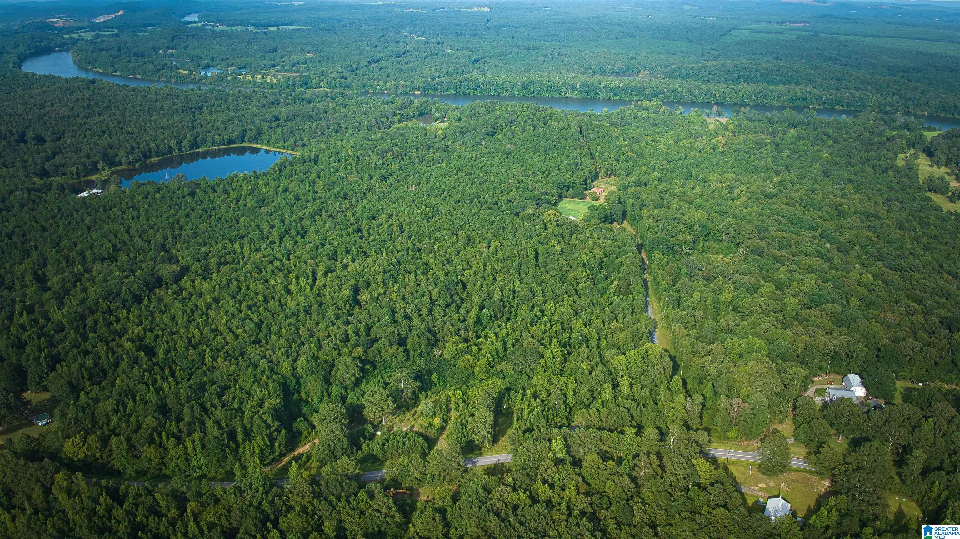 Lot 20 Wester Road, Unit LOT 20 Ragland, AL 35131 - Photo 43 of 68