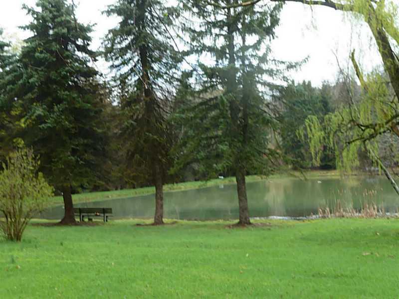 1416 Washington Road Marion Center, PA 15759 - Photo 8 of 11 Other. Lake