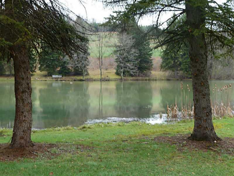 1416 Washington Road Marion Center, PA 15759 - Photo 9 of 11 Other. 1.5 acre lake