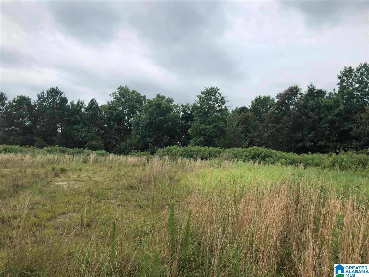 0 Maple Crest Lane Hayden, AL 35079 - Photo 10 of 30