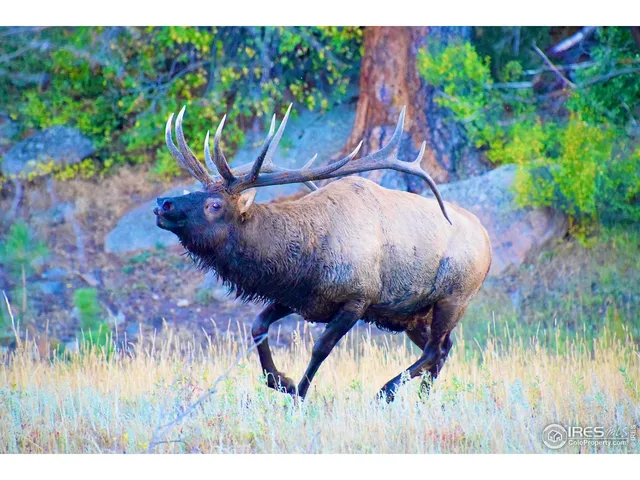 $345,000 | 1141 Fairway Club Circle, Unit C3, Estes Park, CO 80517