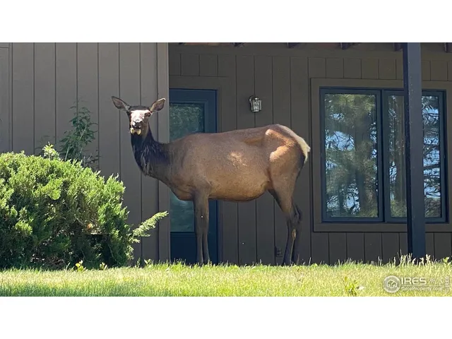 $345,000 | 1141 Fairway Club Circle, Unit C3, Estes Park, CO 80517