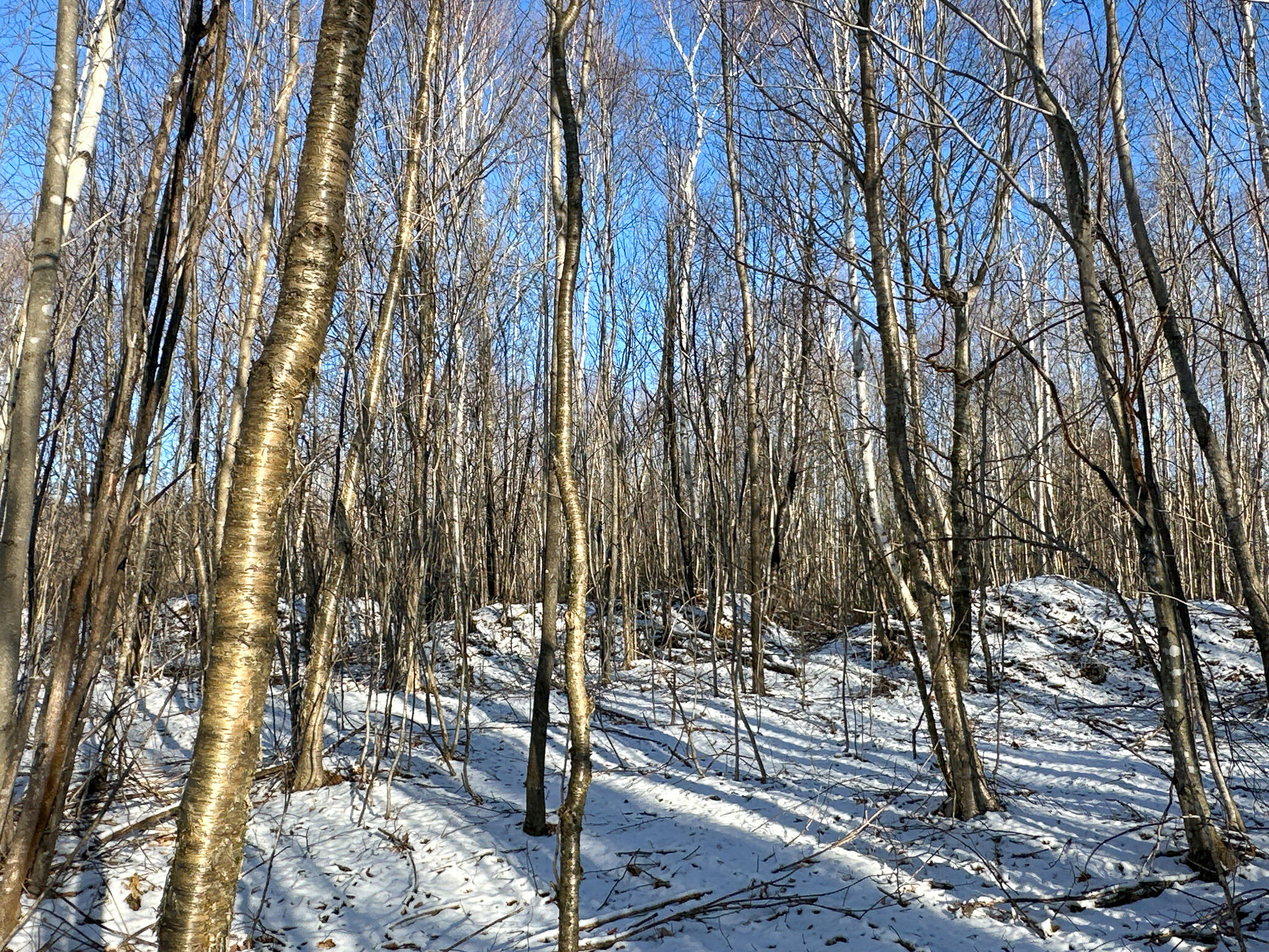 Lot 15 Upper Dobsis Road Lakeville, ME 04487 - Photo 34 of 35 34