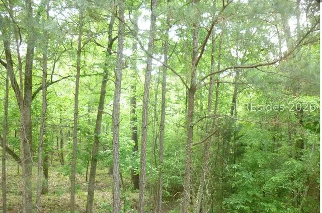 $37,000 | Lot 2-block 6 Bereau Drive, McCormick, SC 29835