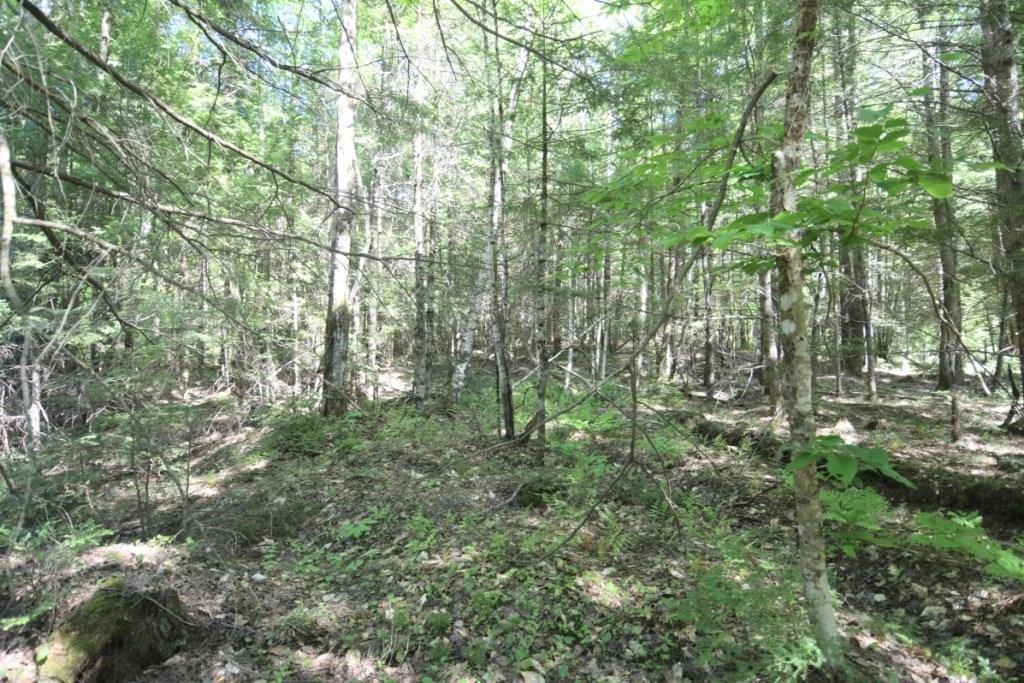 82 Halls Bridge Road Canaan, ME 04924 - Photo 24 of 29 Second building lot
