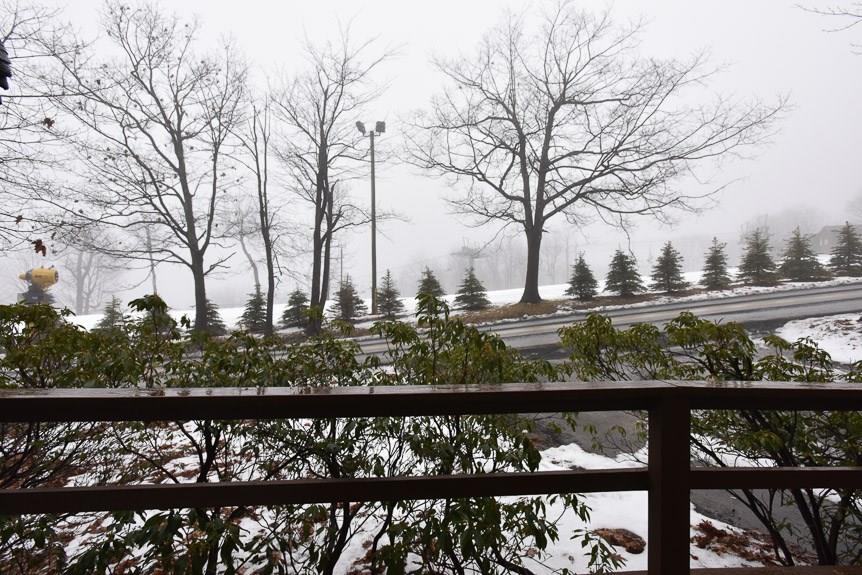 529 Gardner Road Hidden Valley, PA 15502 - Photo 21 of 25 Gallery Image 21